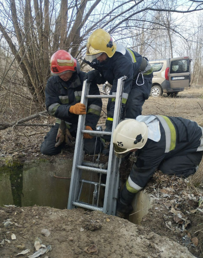 Сліпого собаку витягли з глибокого колодязя під Черніговом