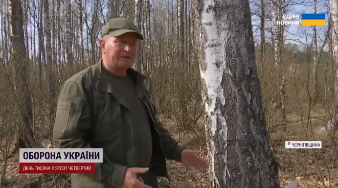 Без дозволу не можна: що розповіли лісівники про збір соку на Чернігівщині