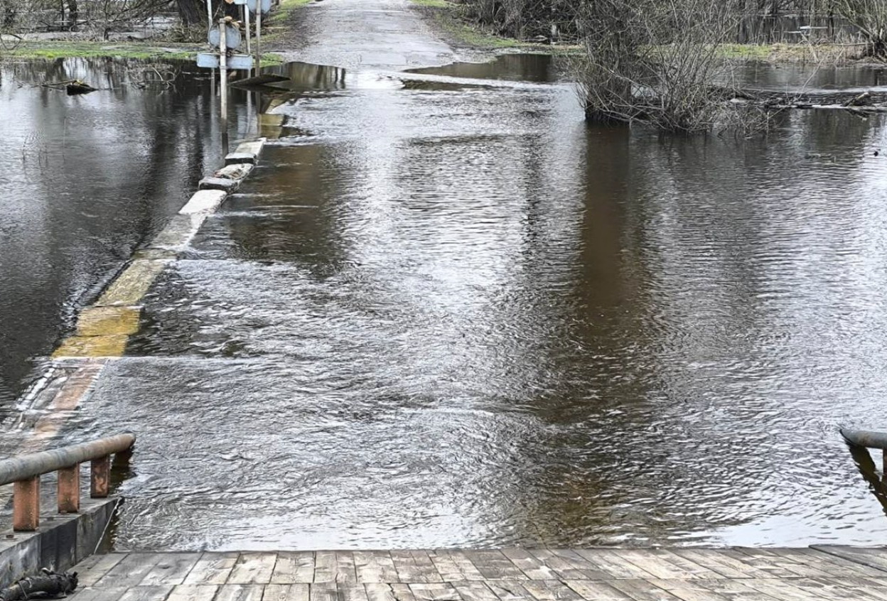 На Чернігівщині прибуває вода: але не у всіх річках