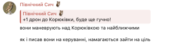 Прикордонне місто атакували безпілотники на ручному керуванні
