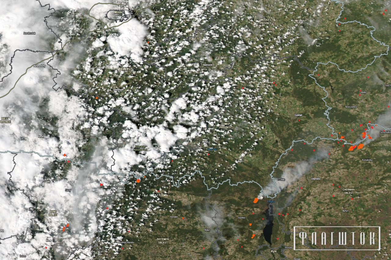 Лісові пожежі в прикордонні Чернігівщини вже видно з космосу
