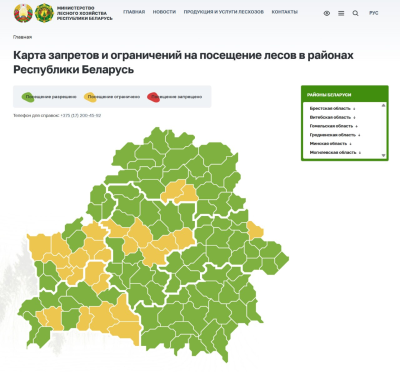 У білоруському прикордонні закрили частину лісів для відвідування: що відомо? 