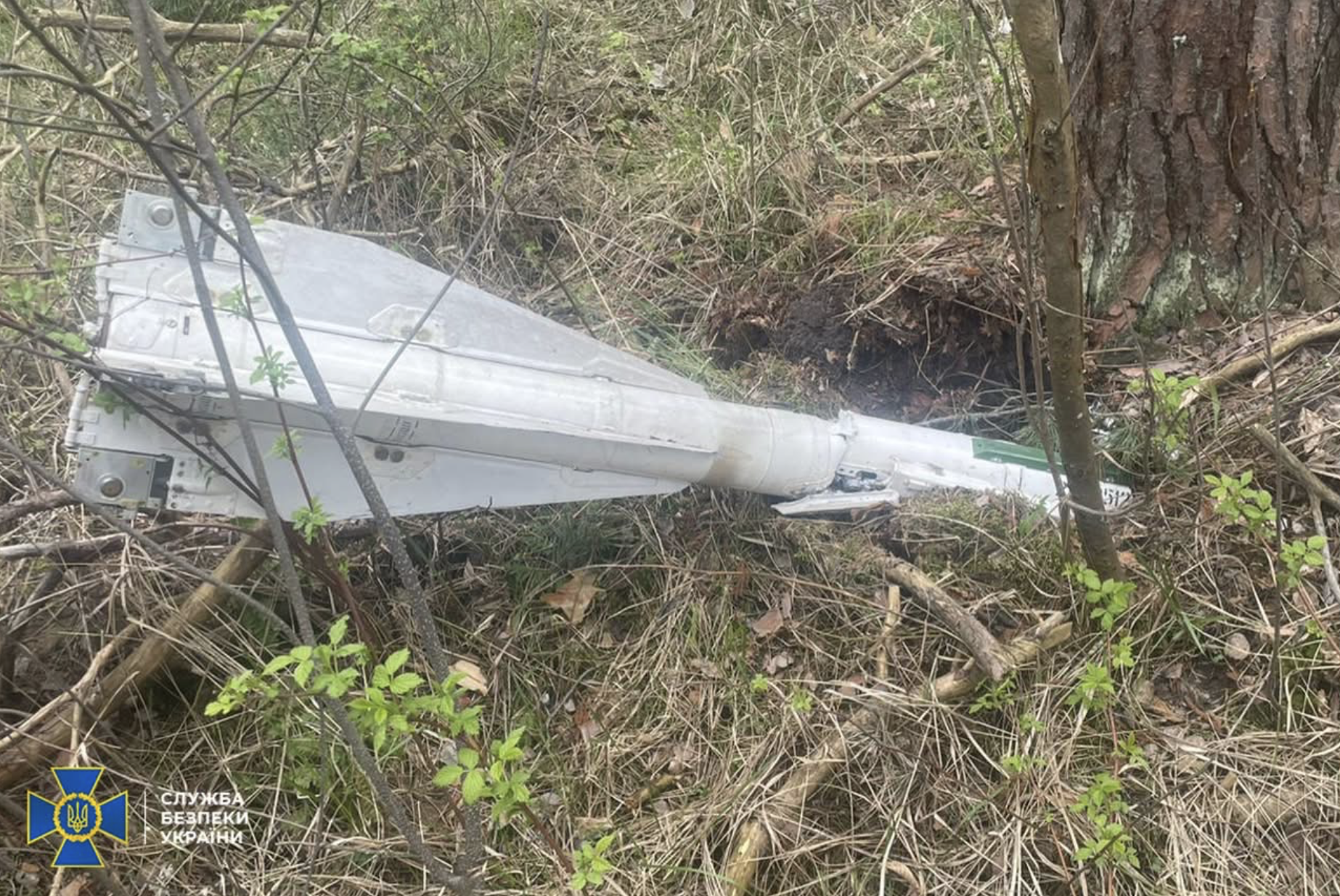 В СБУ повідомили про виявлений на Чернігівщині боєприпас зі збідненим ураном. Що кажуть в громаді?