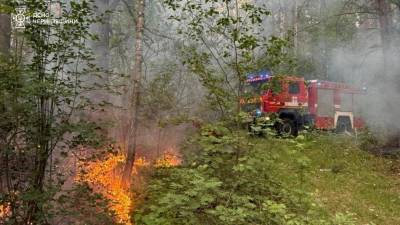 Через російський безпілотник на прикордонні горіли гектари лісу