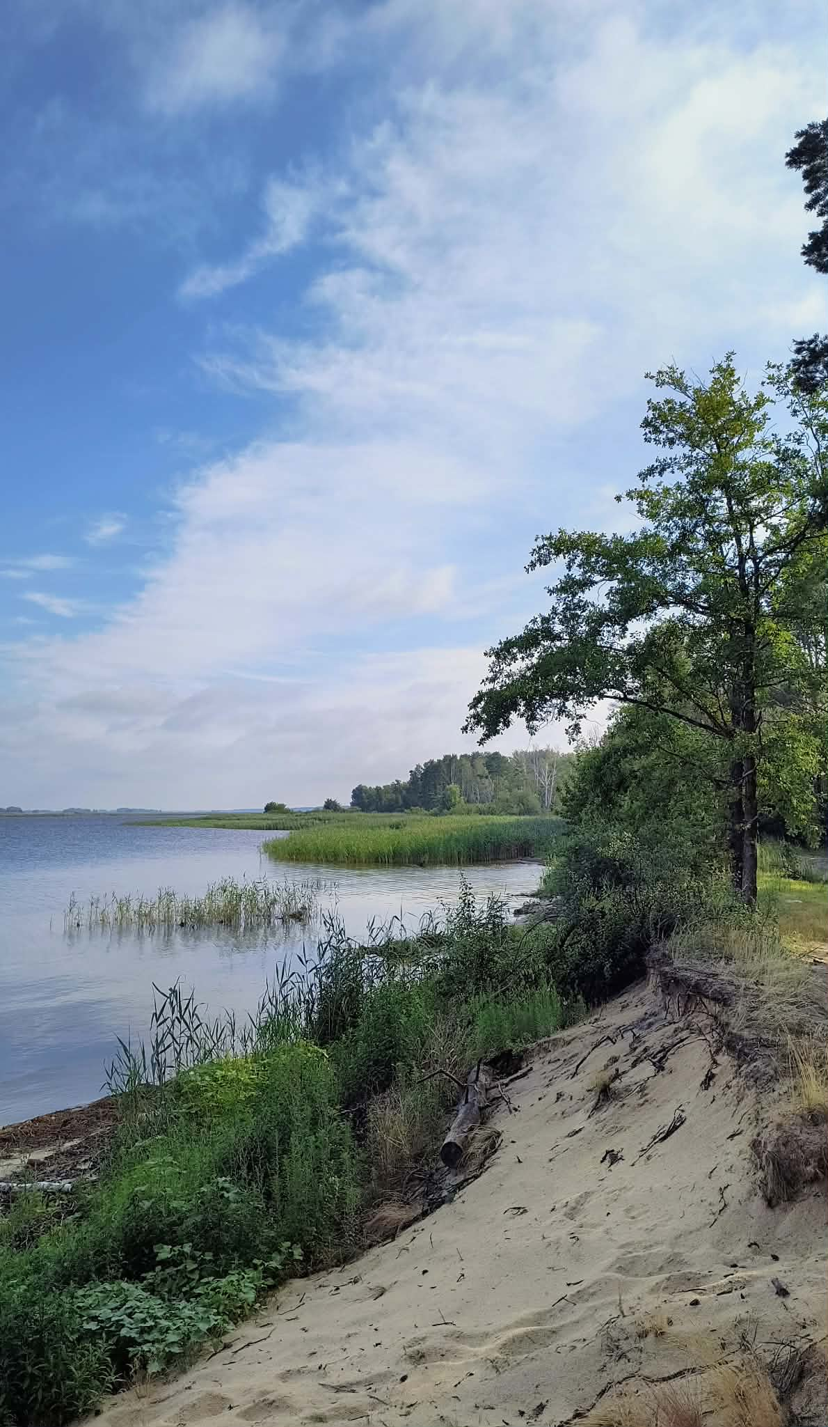 Фото Ярослави Сірик