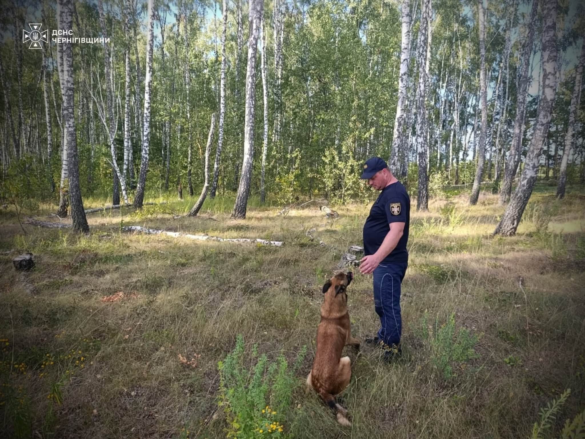 На Чернігівщині розшукують зниклого підлітка: прикмети