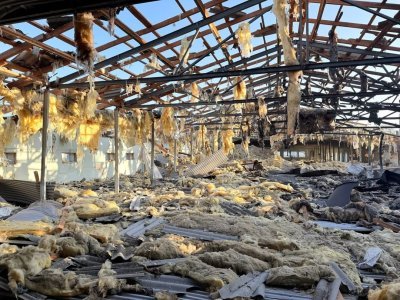 Бренд, птахофабрику якого на Чернігівщині обстріляв ворог, оголосив про розширення мережі магазинів