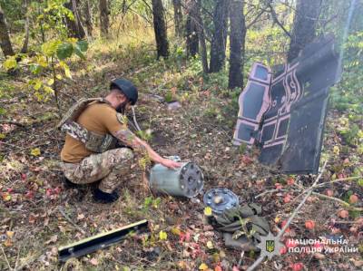 На Чернігівщині знешкодили бойові частини російських дронів і ракету Х-101