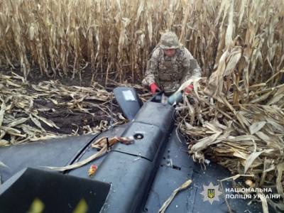 На Чернігівщині знешкодили бойові частини російських дронів і ракету Х-101