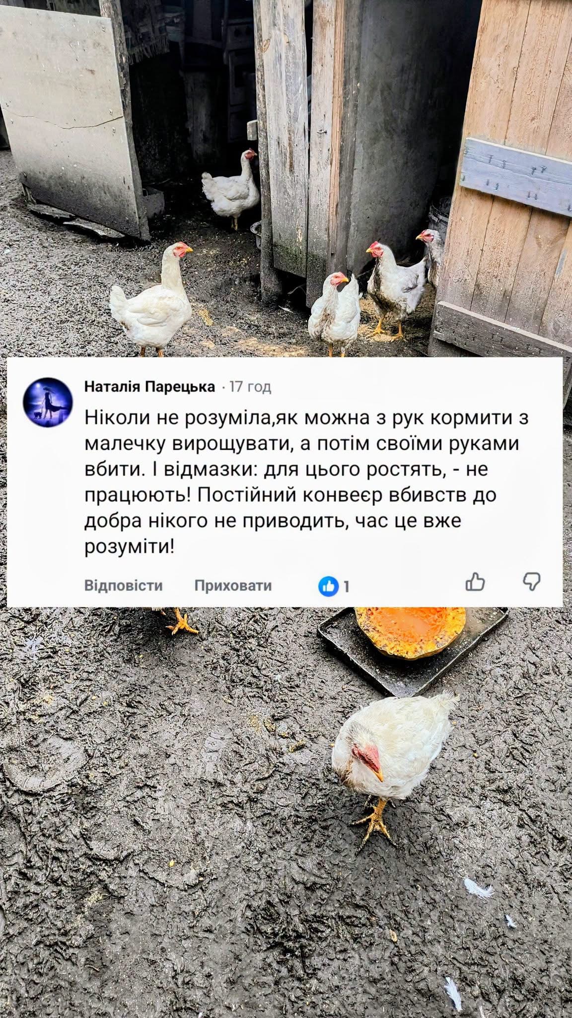 «Вирощую, щоб прогодувати родину»: блогерка з Ніжинщини відповіла хейтерам