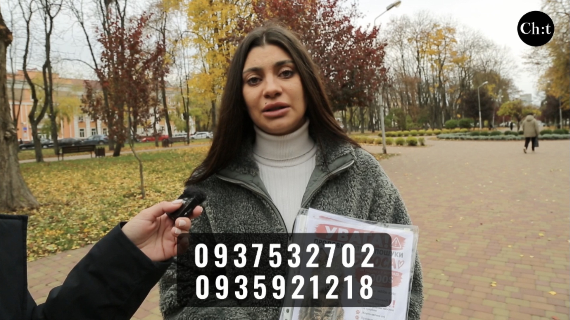 «Він як людина»: чернігівка розшукує кота Брюса і підозрює викрадення