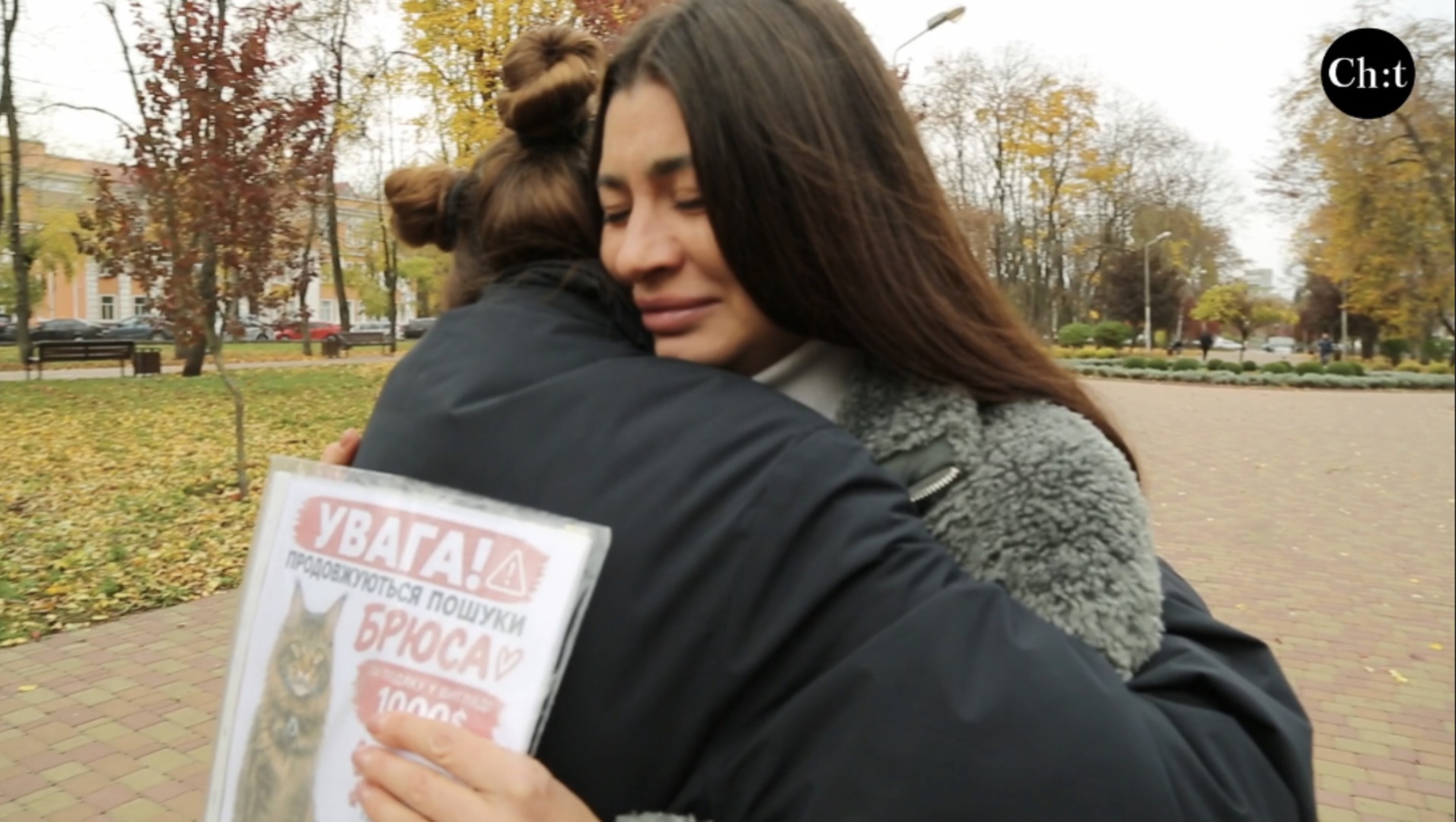 «Він як людина»: чернігівка розшукує кота Брюса і підозрює викрадення